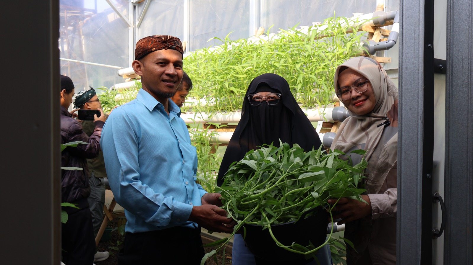 Budidaya dan Panen Kangkung Hidroponik, Wujud Nyata Ekoteologi dan Ketahanan Pangan di MAN 2 Kota Sukabumi